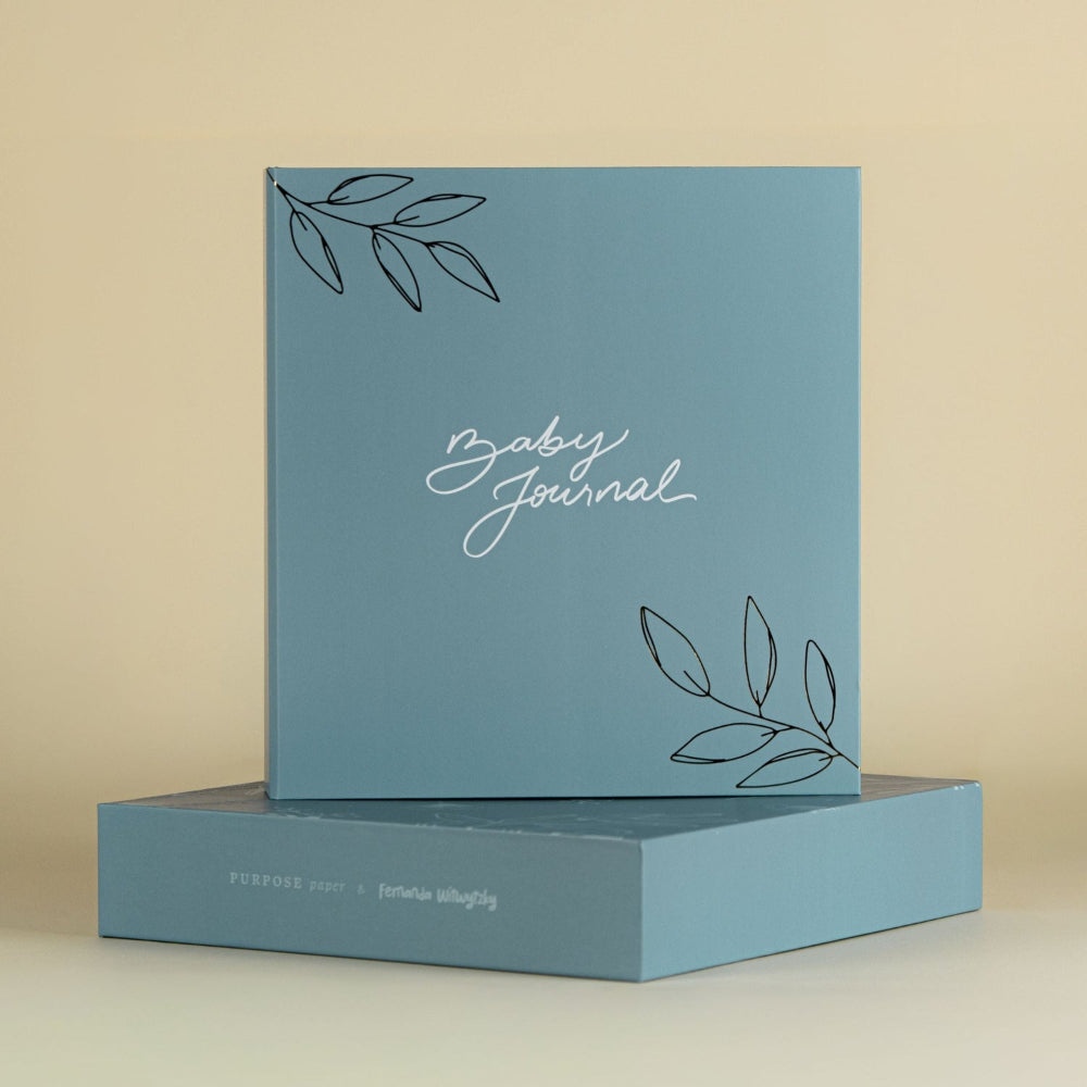 fernanda witwytzky baby journal azul 1