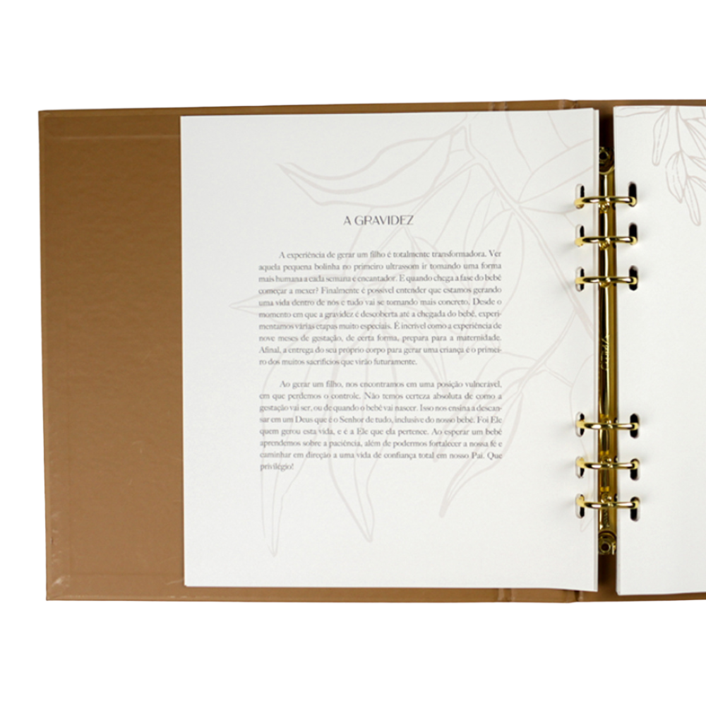 Páginas do Baby Journal a gravidez