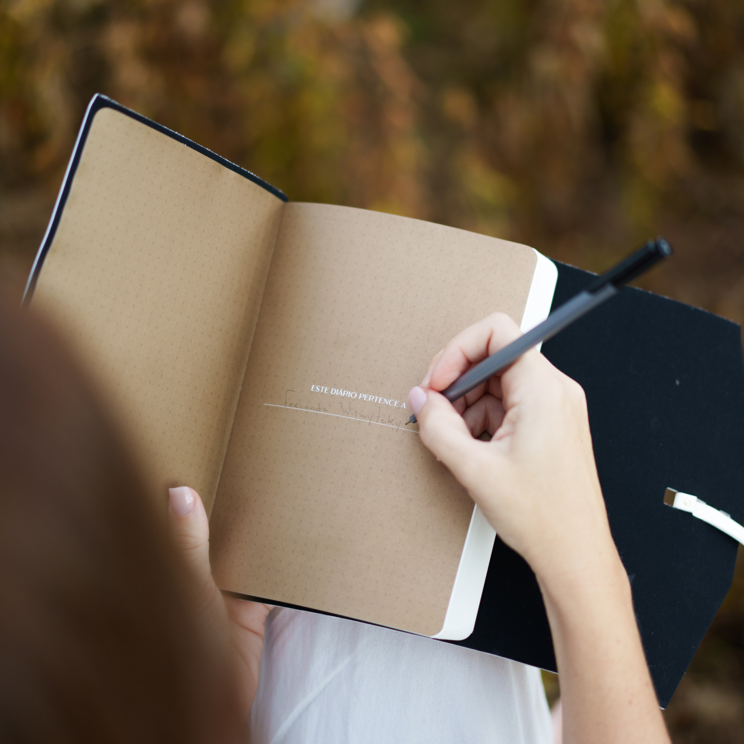 Diário - Minhas Estações