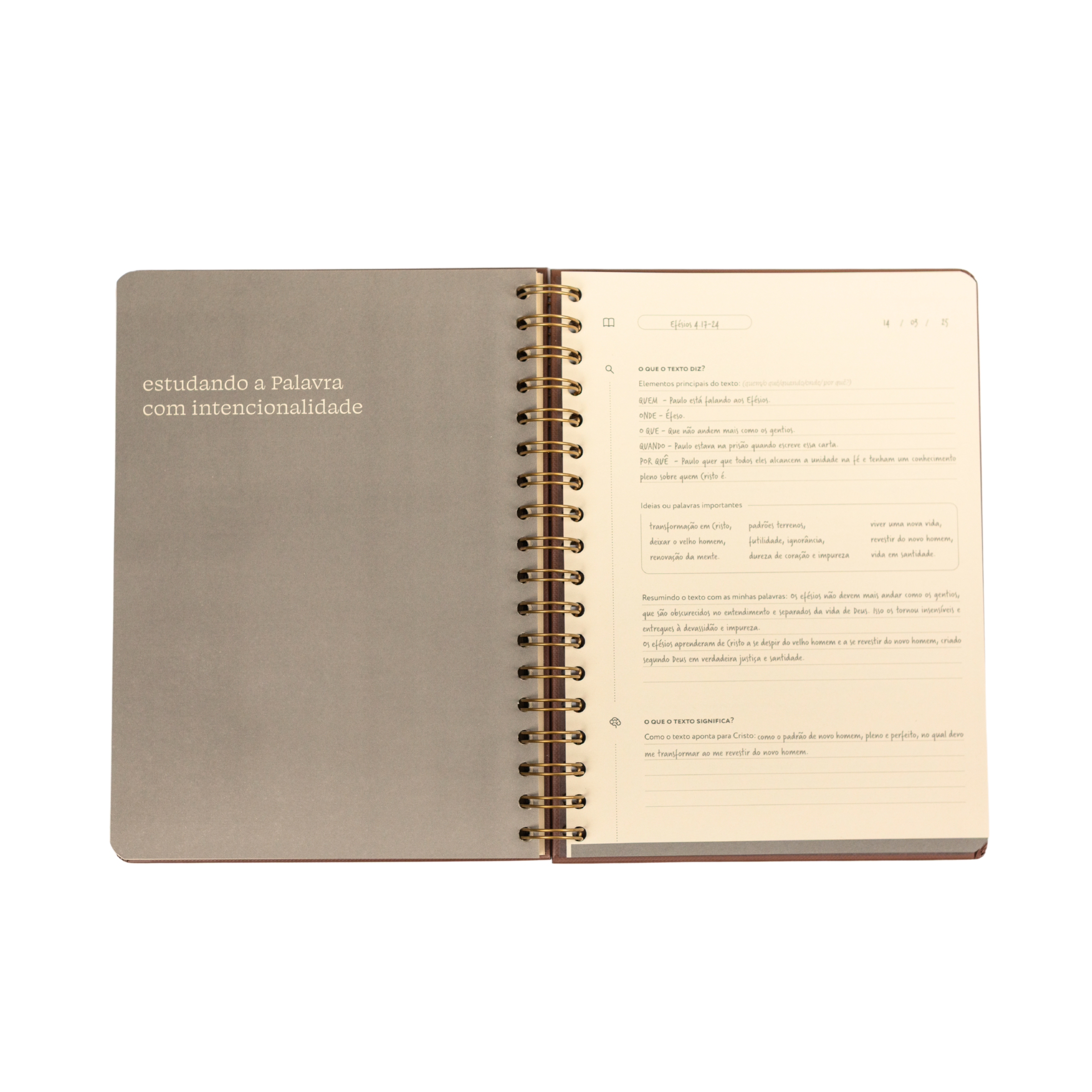 Journal de estudo bíblico - Praticando a Palavra