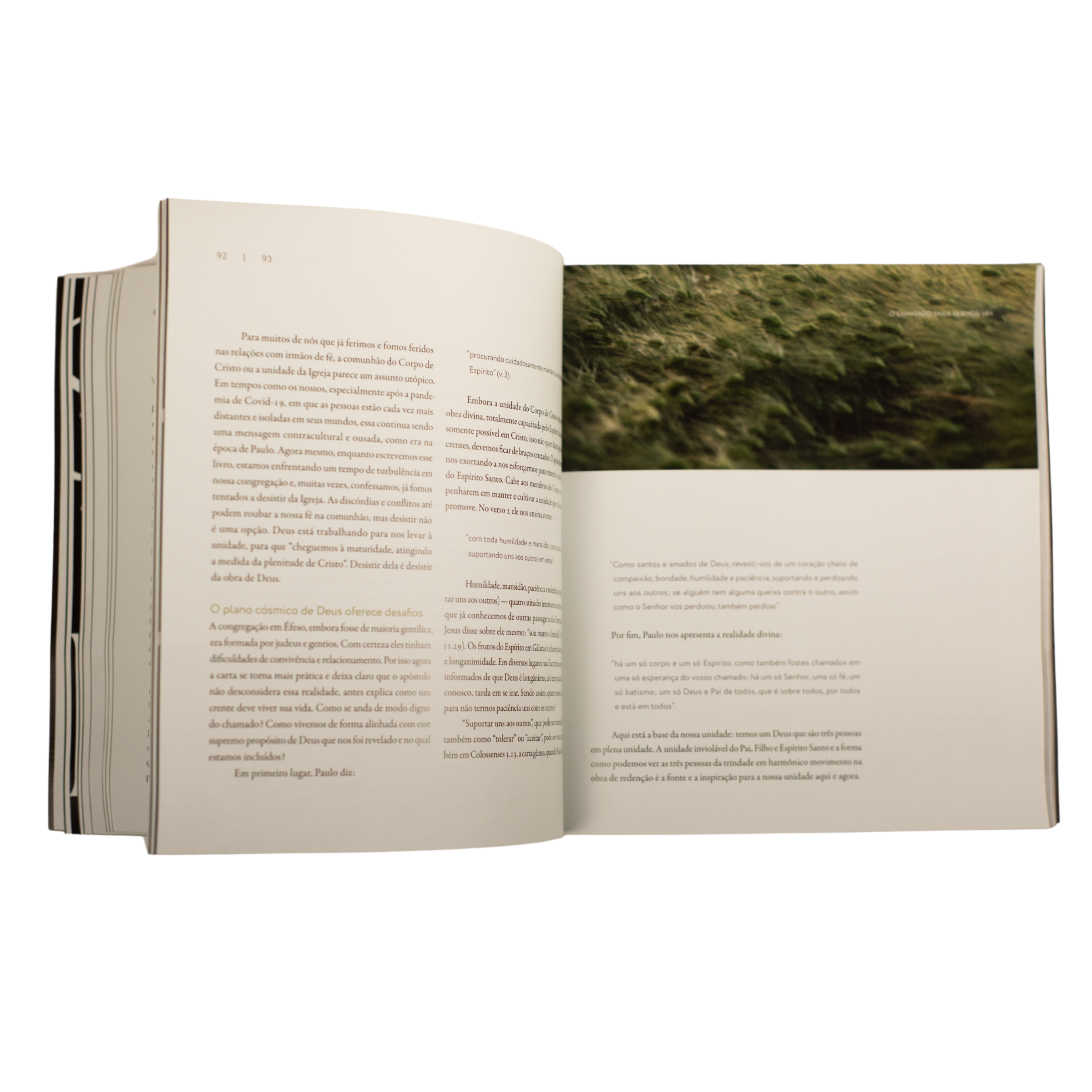 Bible Study de Efésios para Casal - Entre Nós