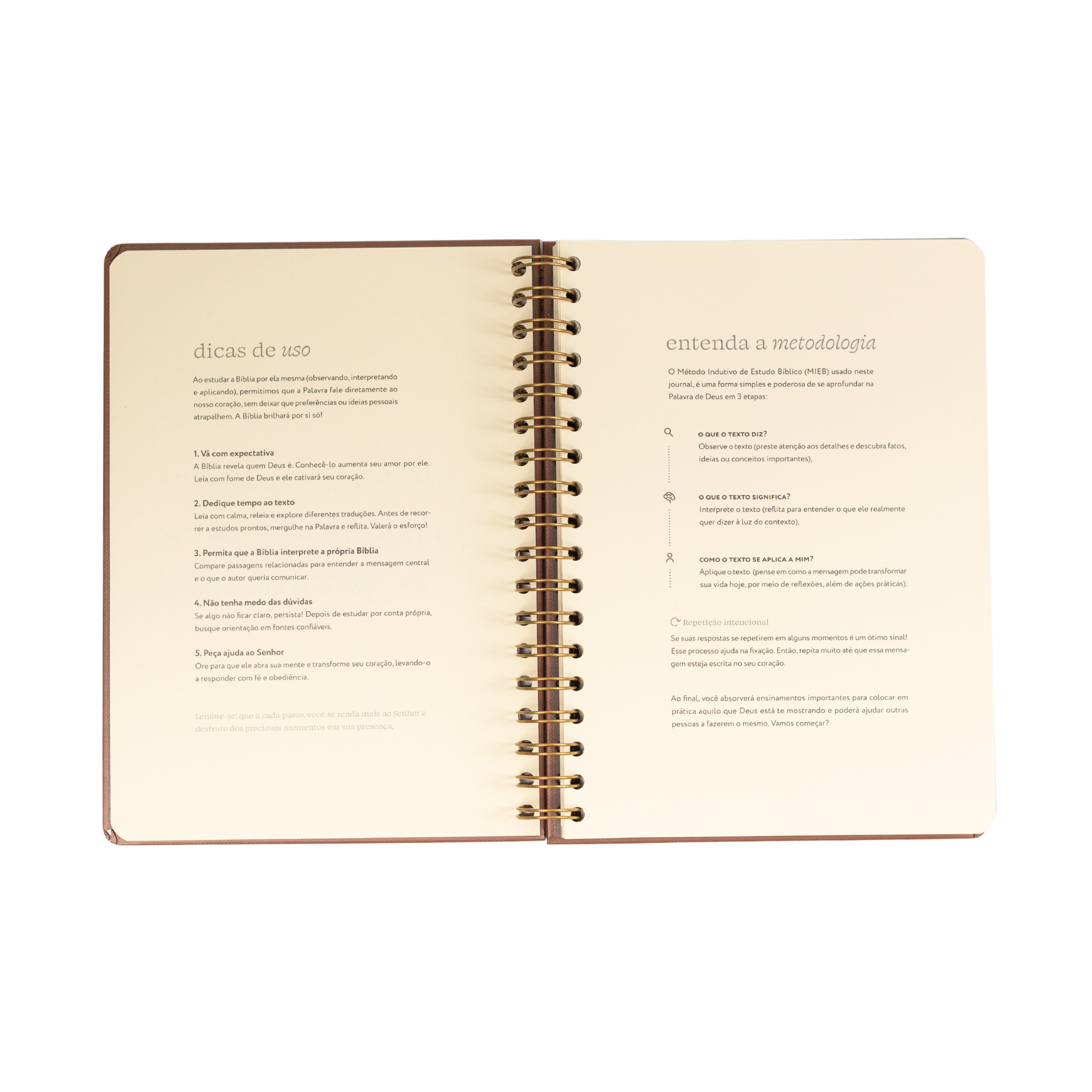 Journal de estudo bíblico - Praticando a Palavra