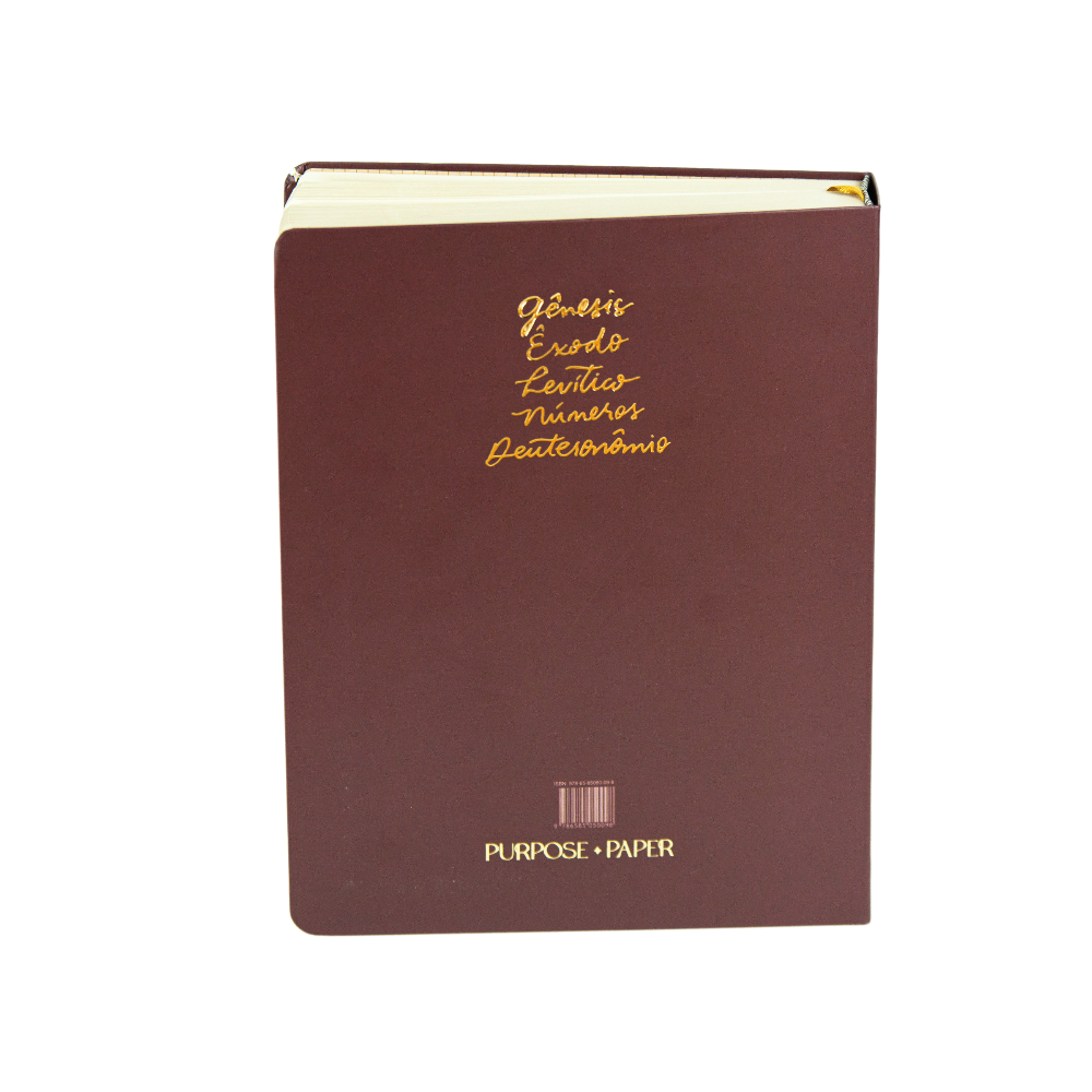 Bible Journal Pentateuco A21 capa Gênesis a Deuteronômio