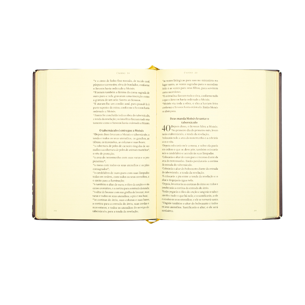 Bible Journal Pentateuco A21 página de anotações