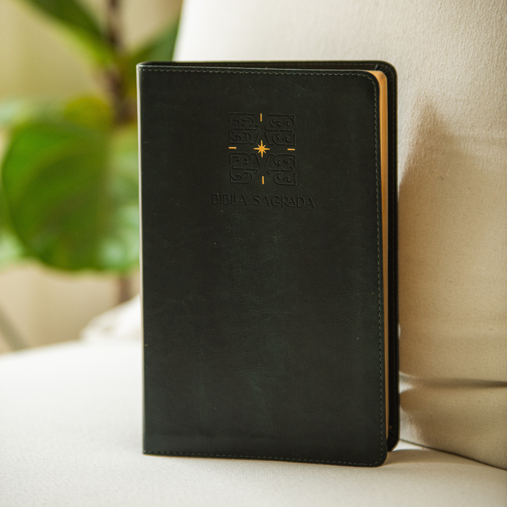 Bíblia para culto The Purpose Book – capa Luz verde