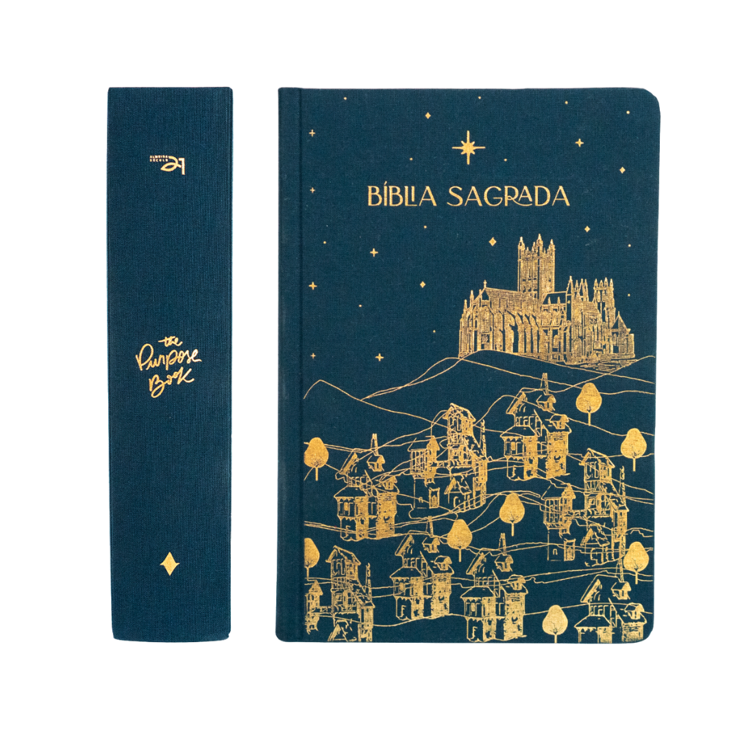 Bíblia de anotações The Purpose Book – capa Reino tecido azul capa dura