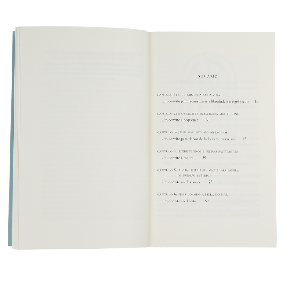 Uma Vida Vasta página interna reflexões e journaling