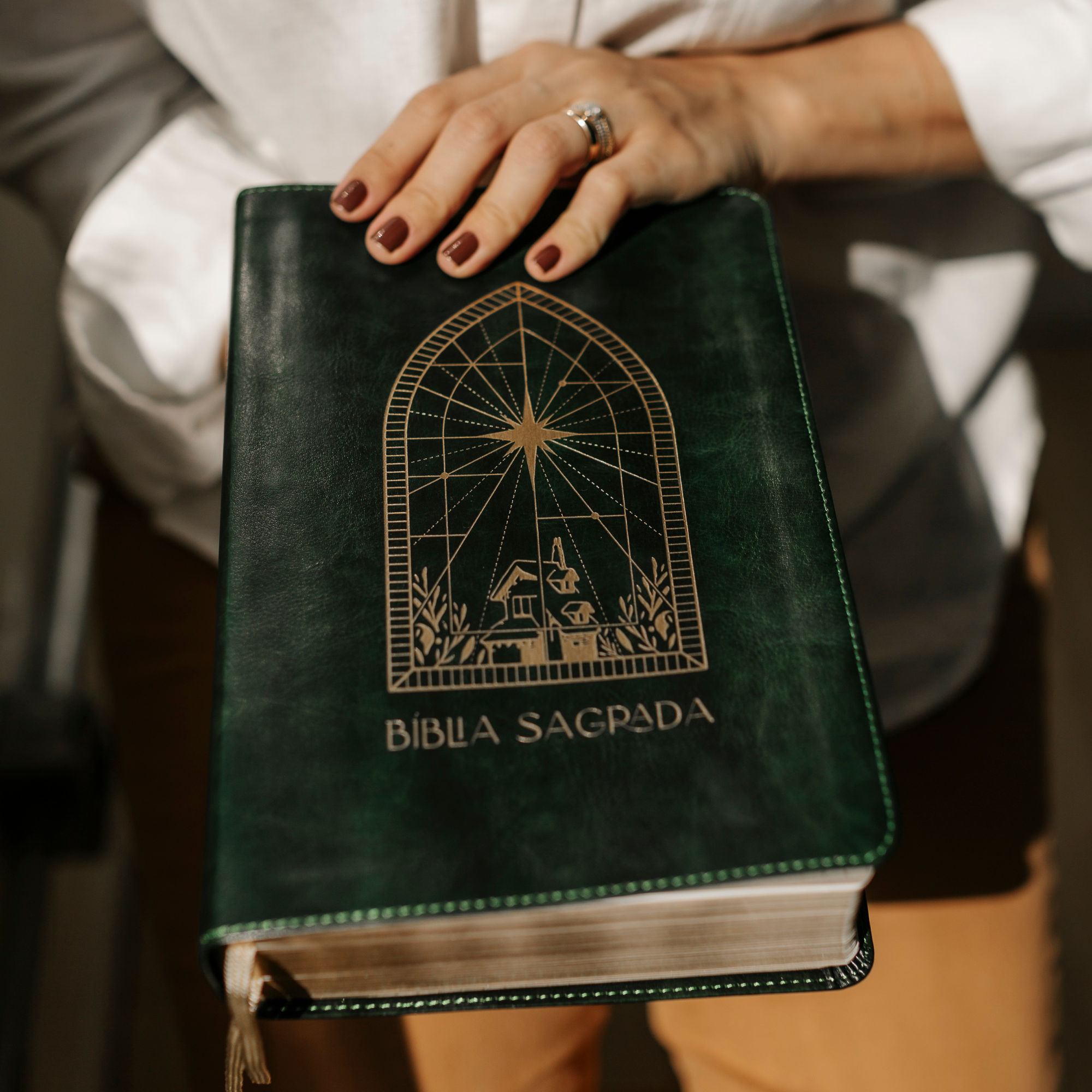 Bíblia de anotações The Purpose Book – capa Vitral couro verde