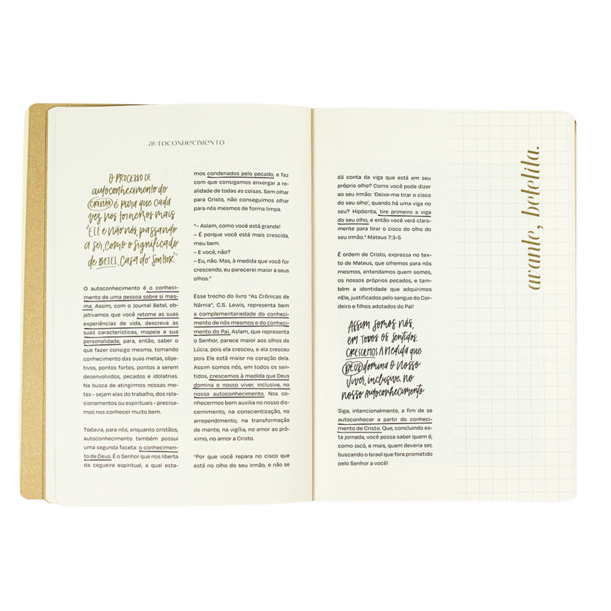 Journal de Autoconhecimento - Betel