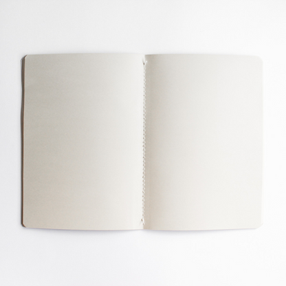 Cadernetas: The Purpose Book