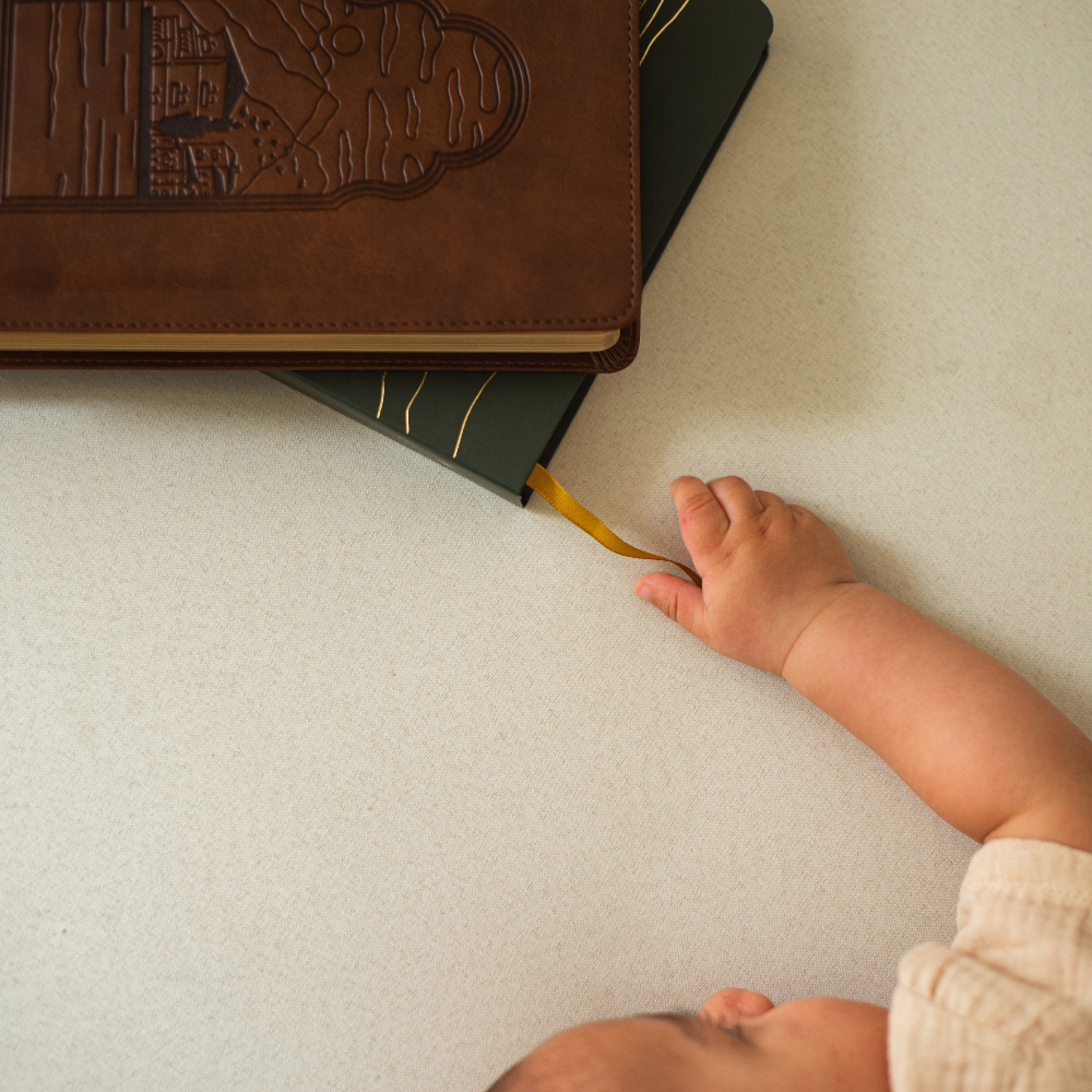 Detalhe da capa Paisagem bordas arredondadas