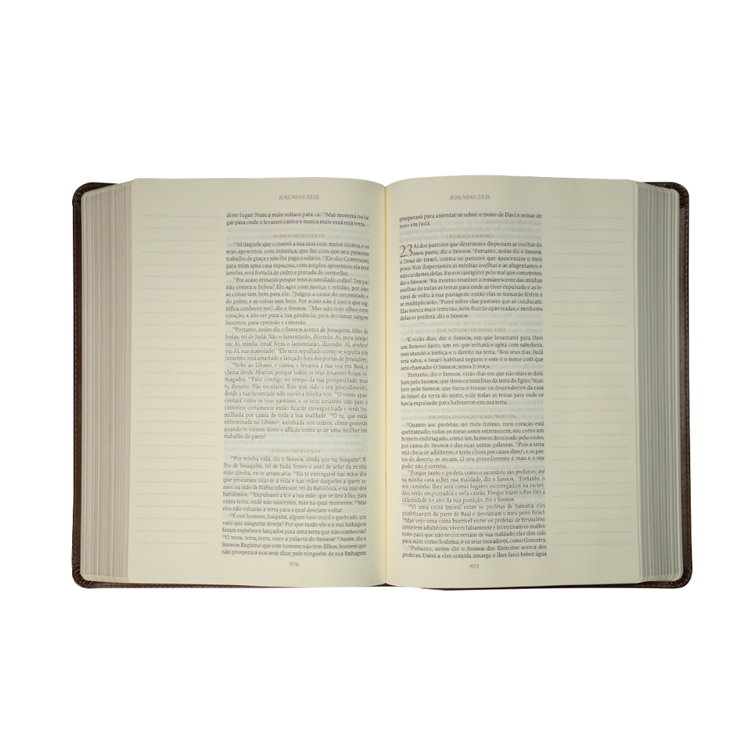 Bíblia de anotações The Purpose Book – Páginas internas da Bíblia com espaço para anotações laterais