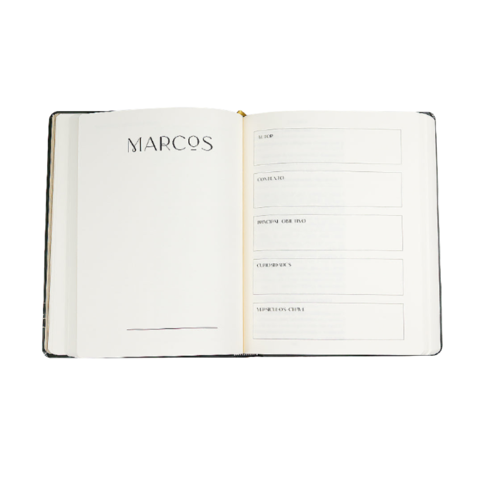 Bible Journal Os 4 Evangelhos A21 página de abertura Evangelho de Mateus