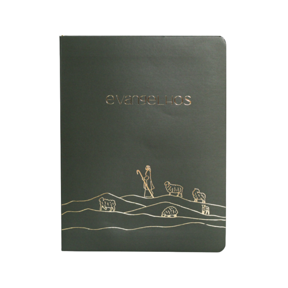 Bible Journal Os 4 Evangelhos A21 capa