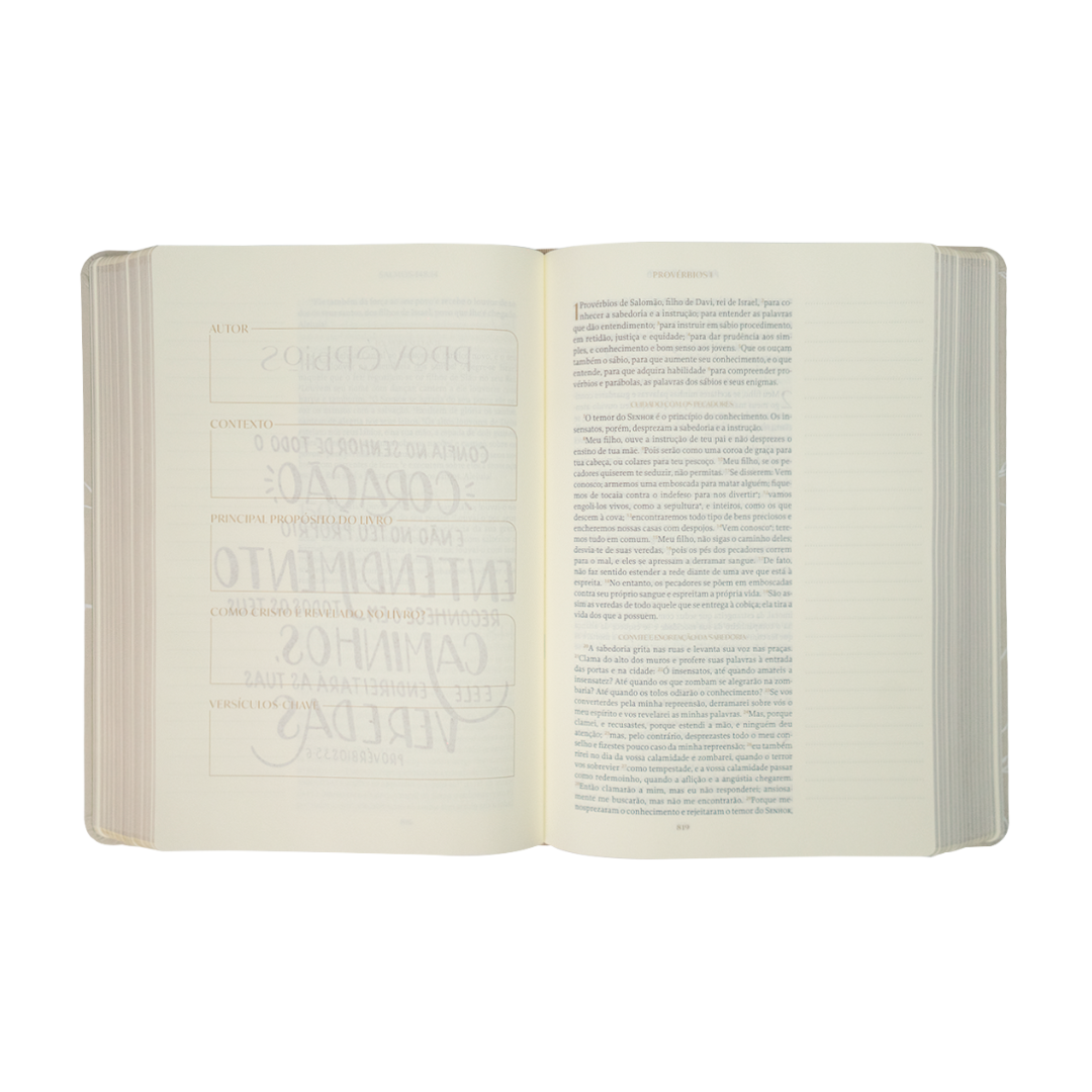 Páginas internas da Bíblia com espaço para anotações laterais