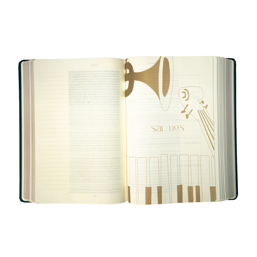 Visão da capa de Salmos da Bíblia de anotações