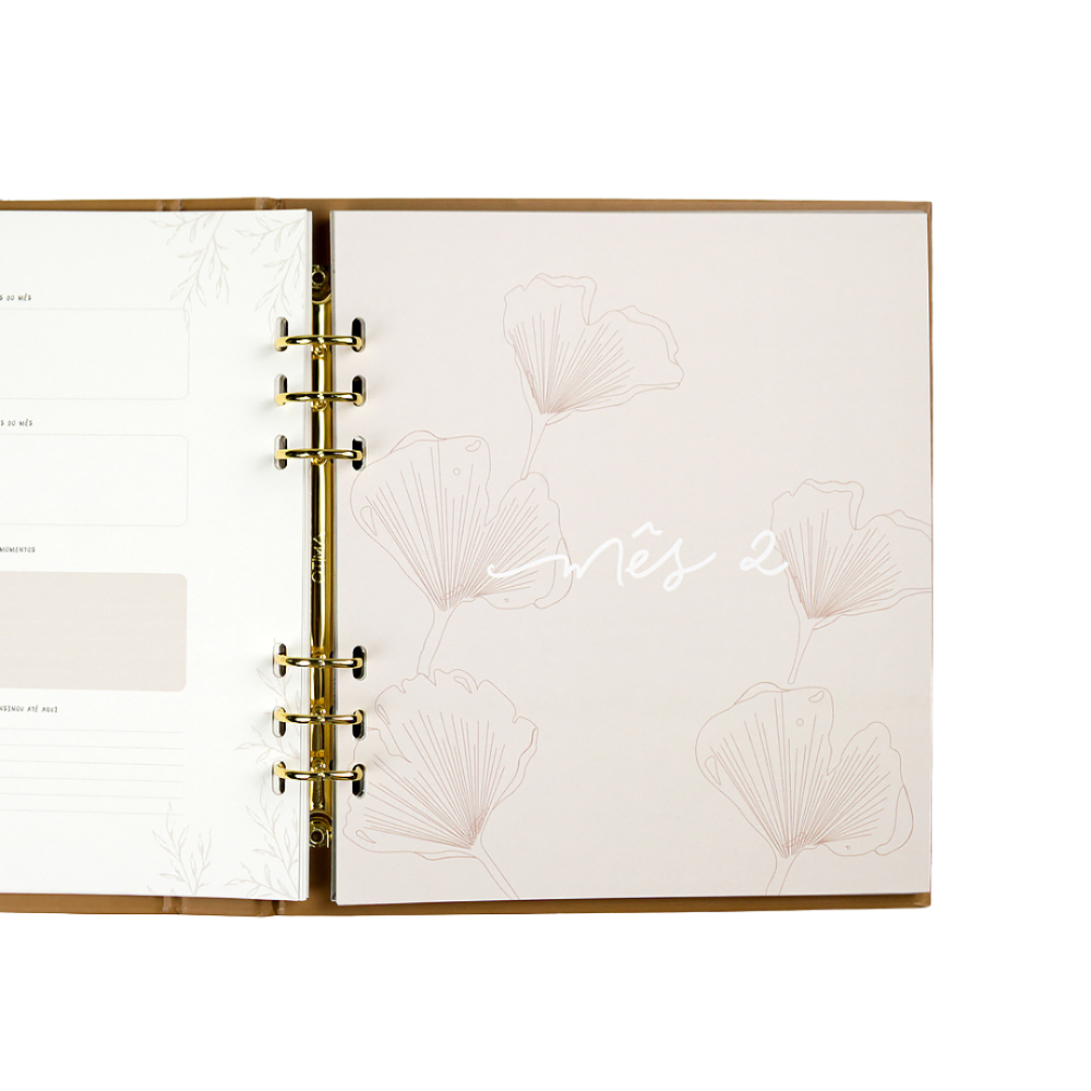 Páginas do Baby Journal espaço para registro do segundo mês