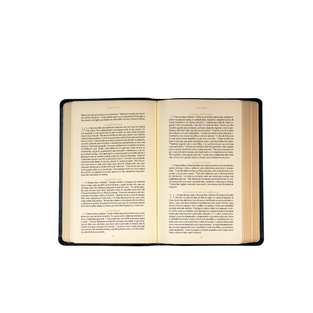 Página interna da Bíblia Purpose Book texto Almeida Século 21 coluna única