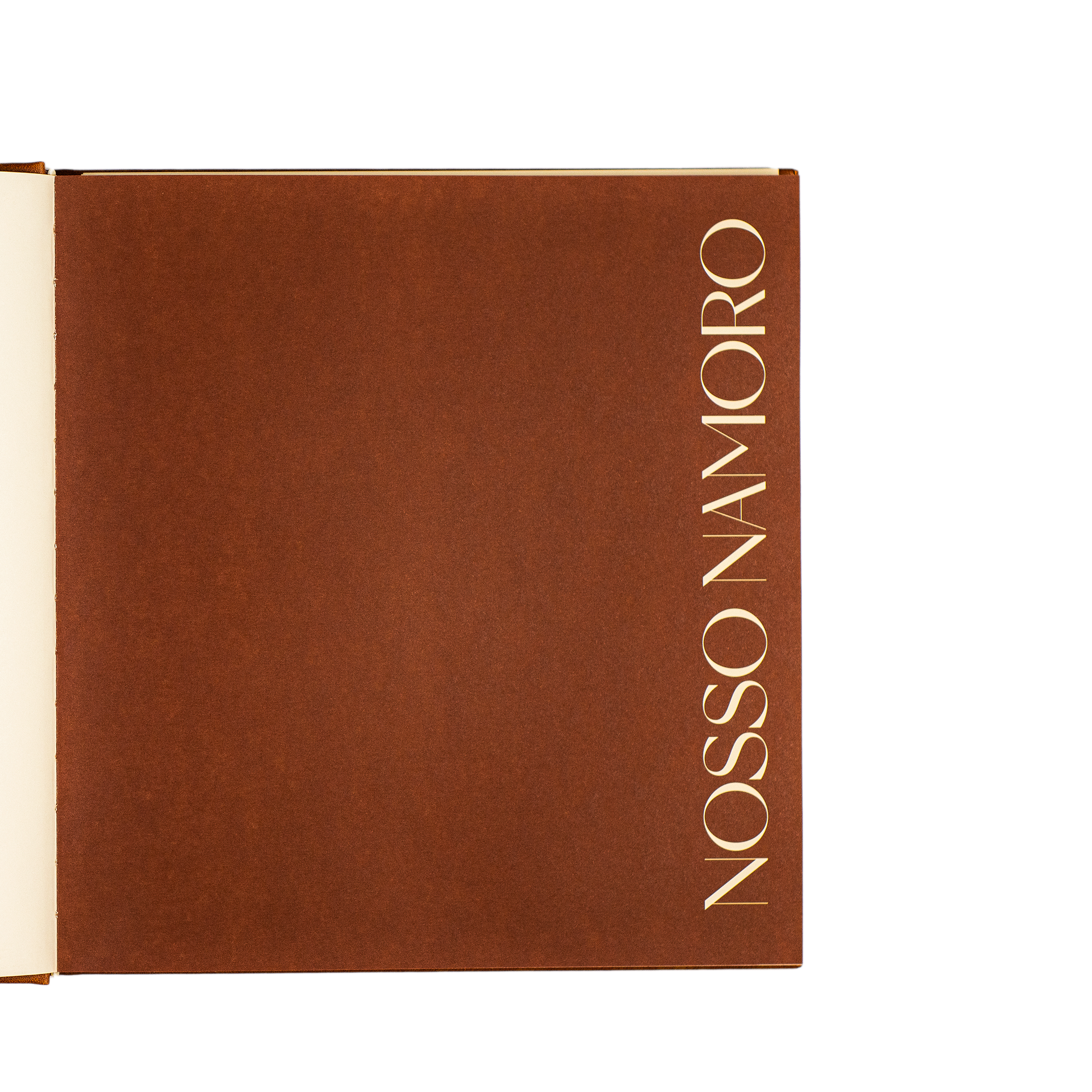 Álbum de Memórias do Casal - Nosso Journal