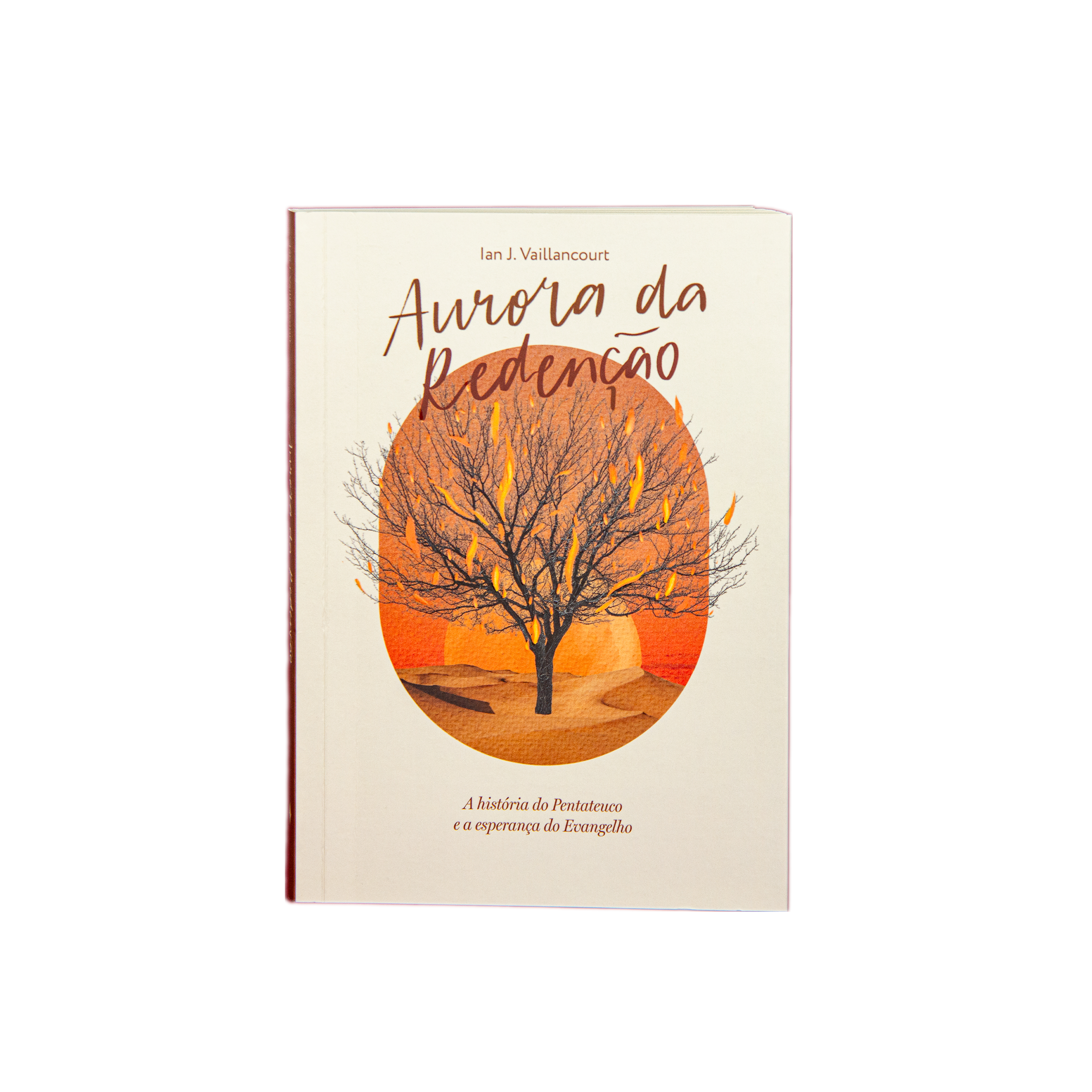 Aurora da Redenção: a história do Pentateuco e a esperança do Evangelho