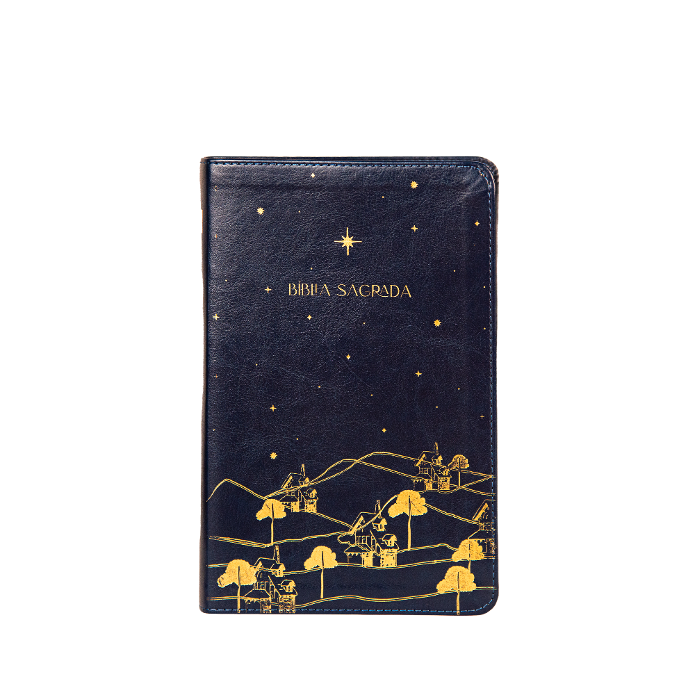 Bíblia para culto The Purpose Book – capa Reino azul