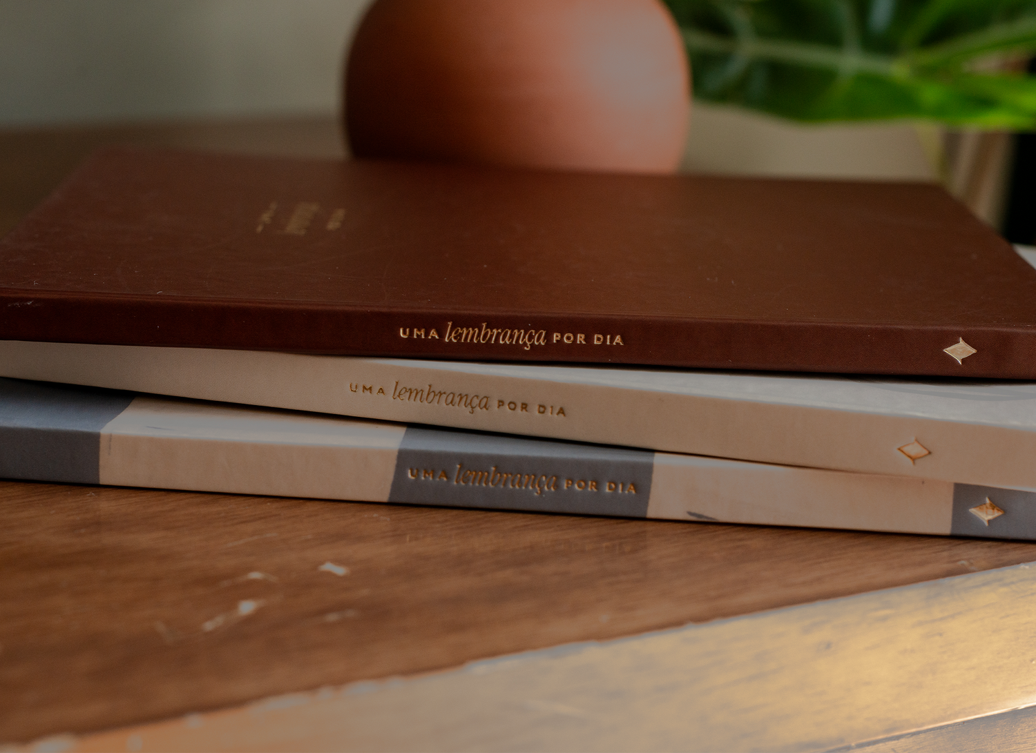 Journal de Memórias todas as capas