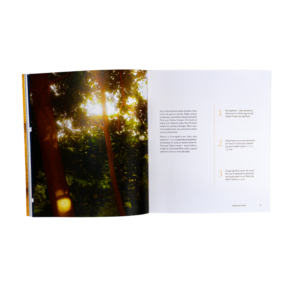 Bible Study Para que Todos Creiam Jesus é o Messias página de infográfico