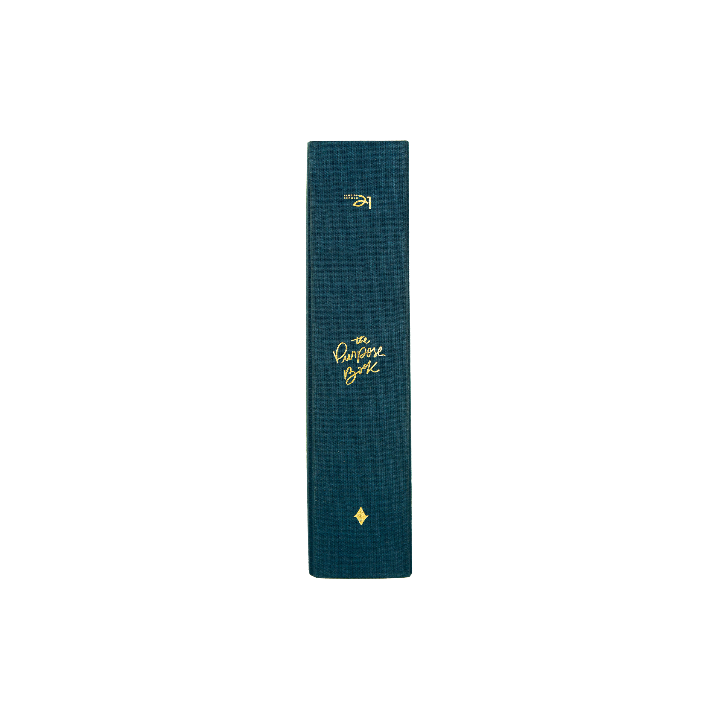 Bíblia de anotações The Purpose Book – capa Reino tecido azul capa dura