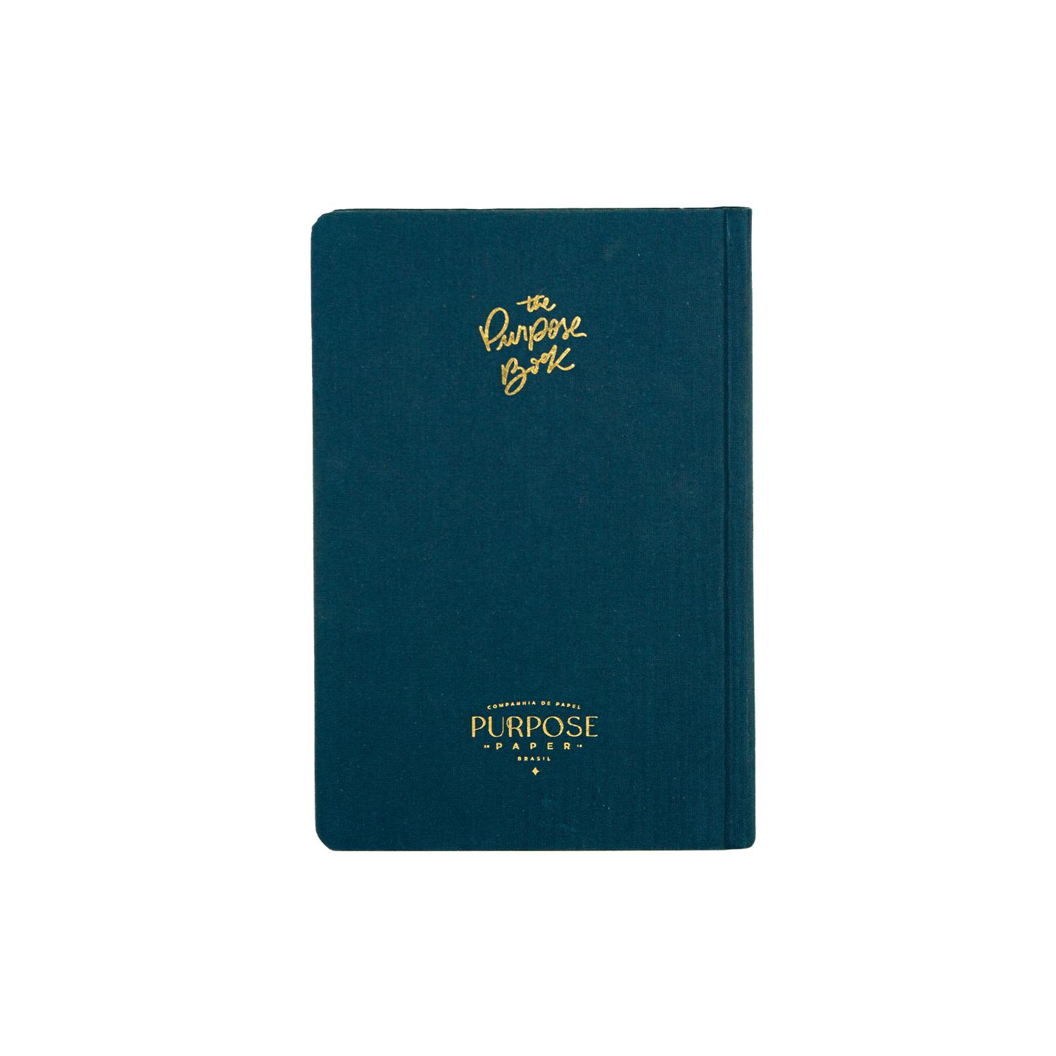 Bíblia de anotações The Purpose Book – capa Reino tecido azul capa dura