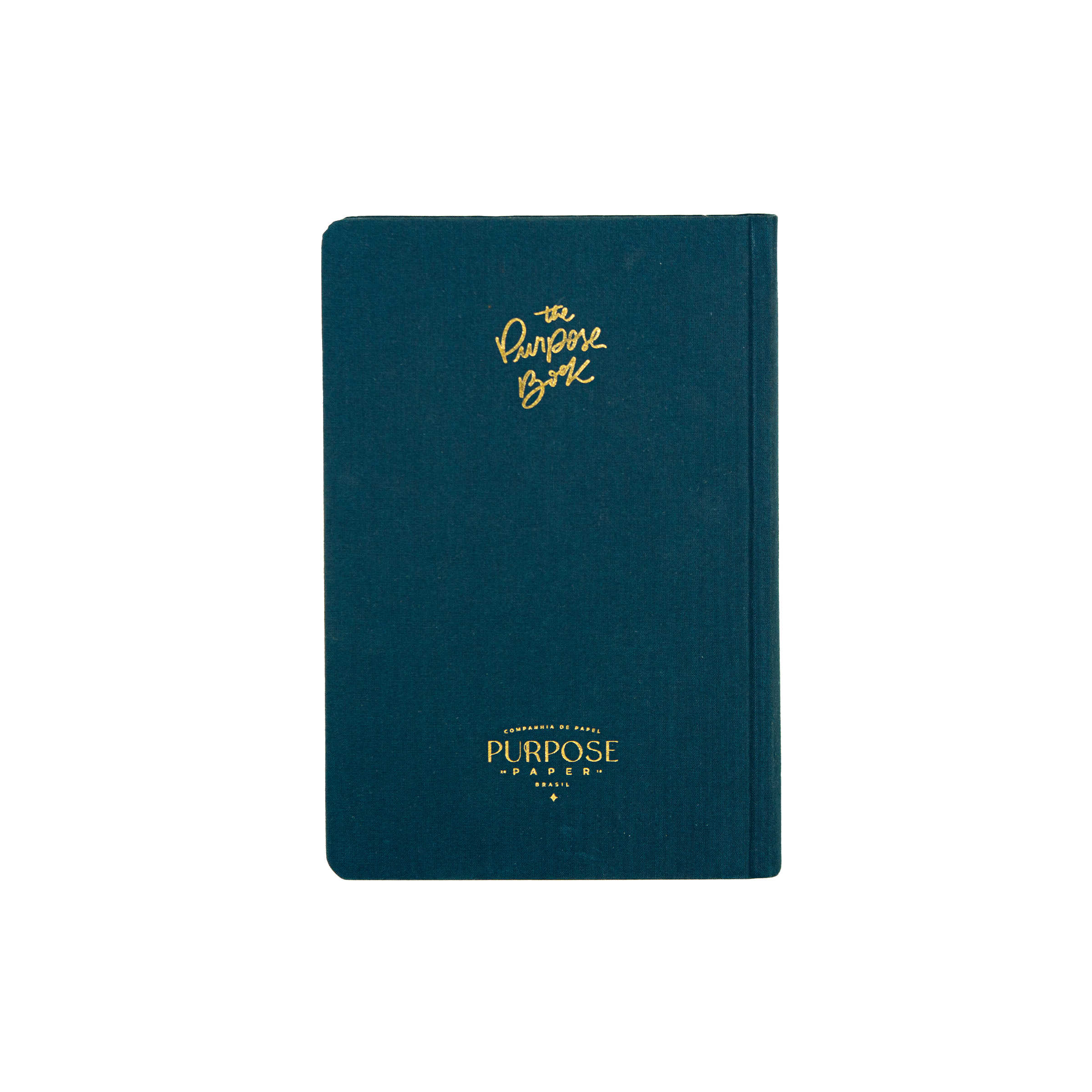 Bíblia com espaço para Anotações - The Purpose Book (A21)
