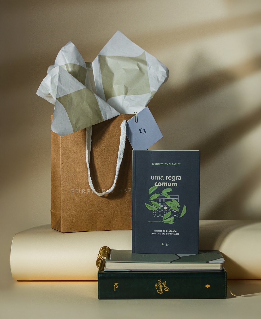 Uma Regra Comum capa livro hábitos de propósito presente de natal