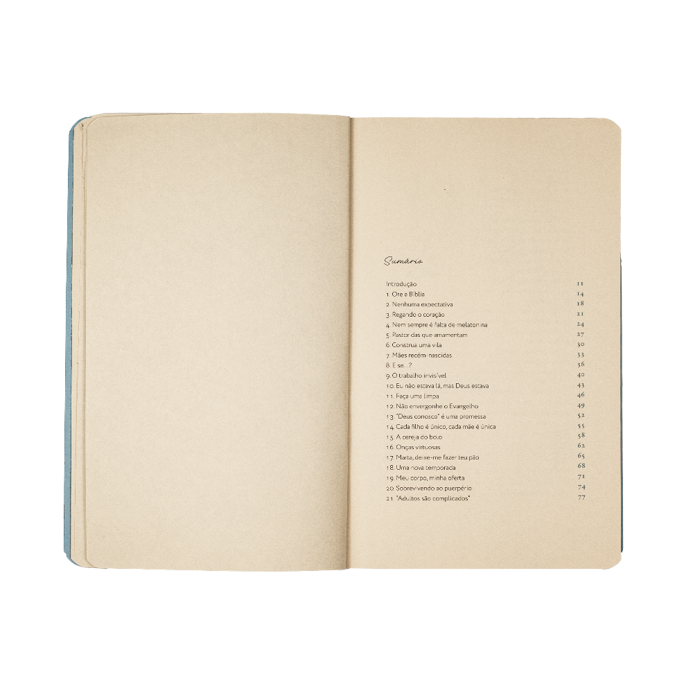 Devocional para Mães Ansiosas capa livro fernanda witwytzky sumário