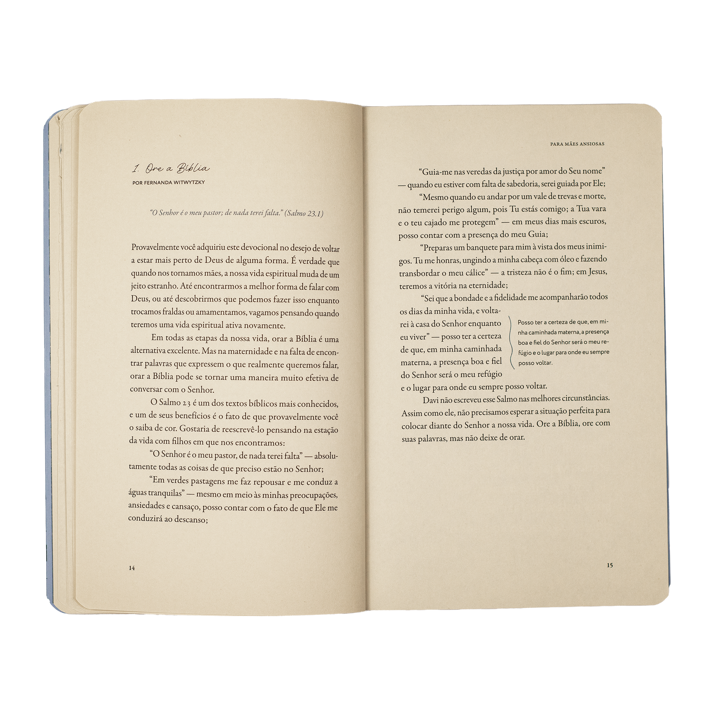 Para Mães Ansiosas - Devocionais para um maternar contente