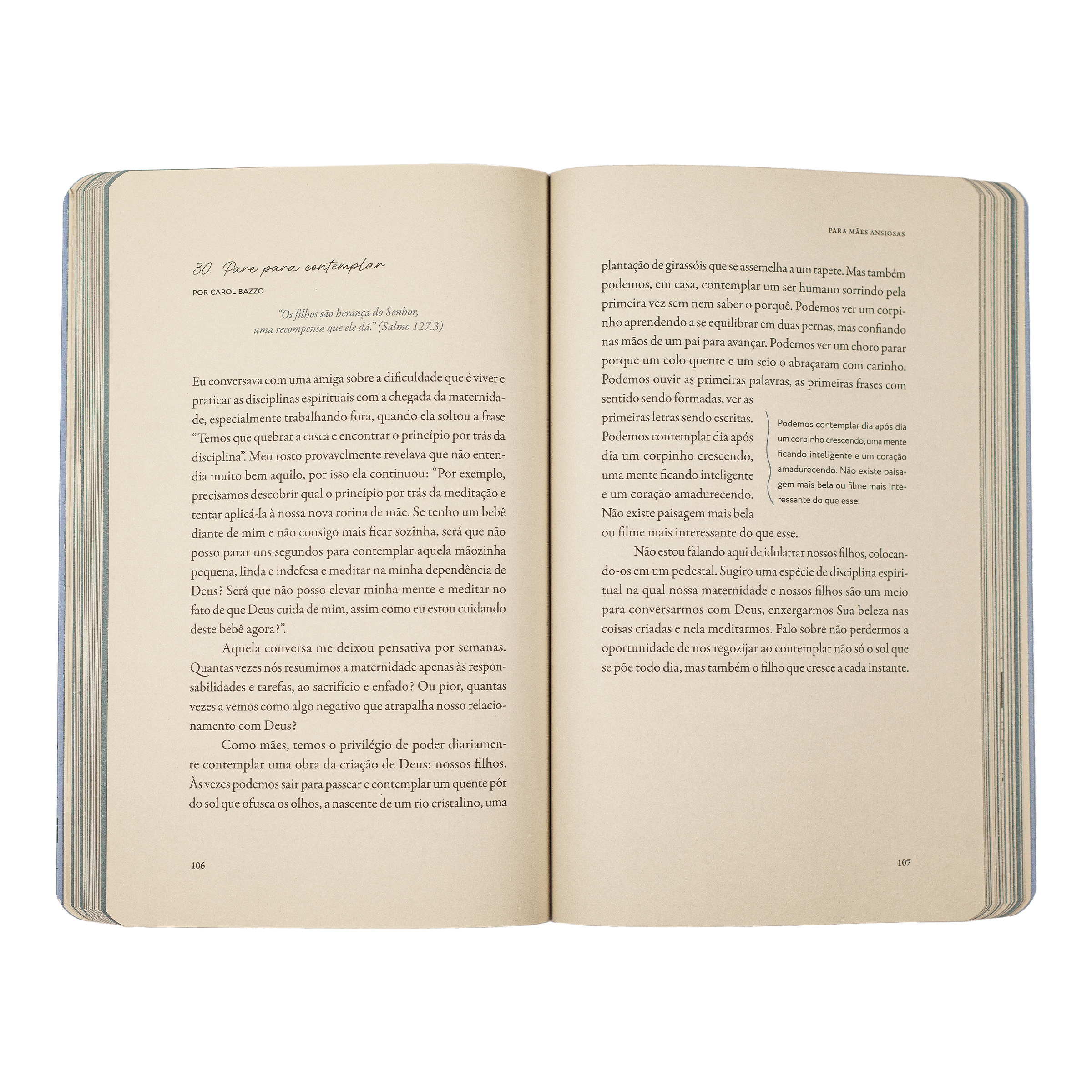 Para Mães Ansiosas - Devocionais para um maternar contente