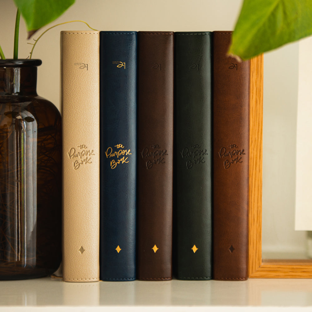 Bíblia para culto The Purpose Book – capa flores, capa reino, capa cruz, capa janela, capa luz