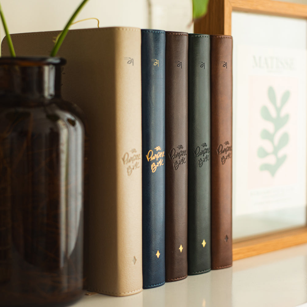 Bíblia para culto The Purpose Book – capa flores, capa reino, capa cruz, capa janela, capa luz