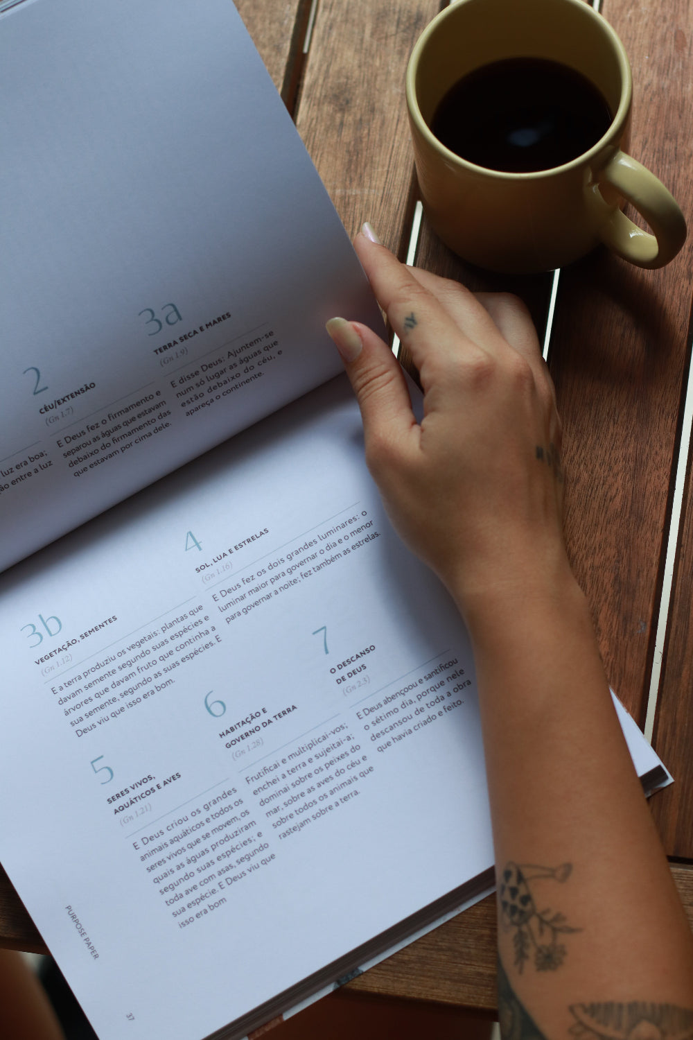 Bible Study Para que Todos Creiam infográfico