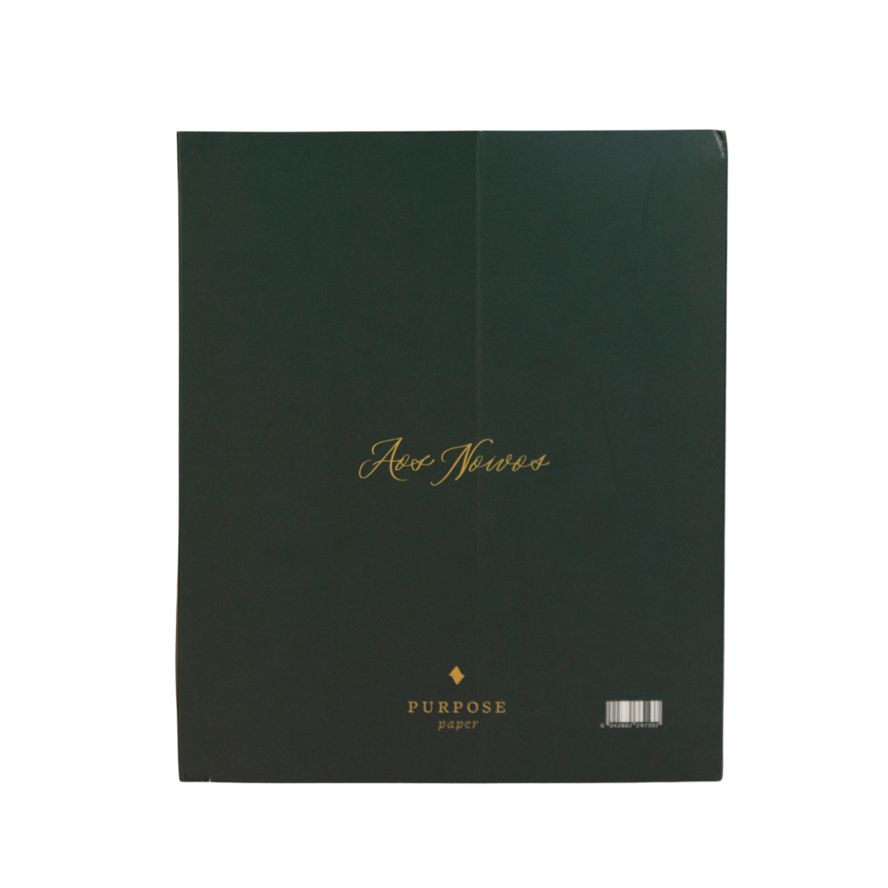 Planner de casamento Nossa Aliança embalagem envelope