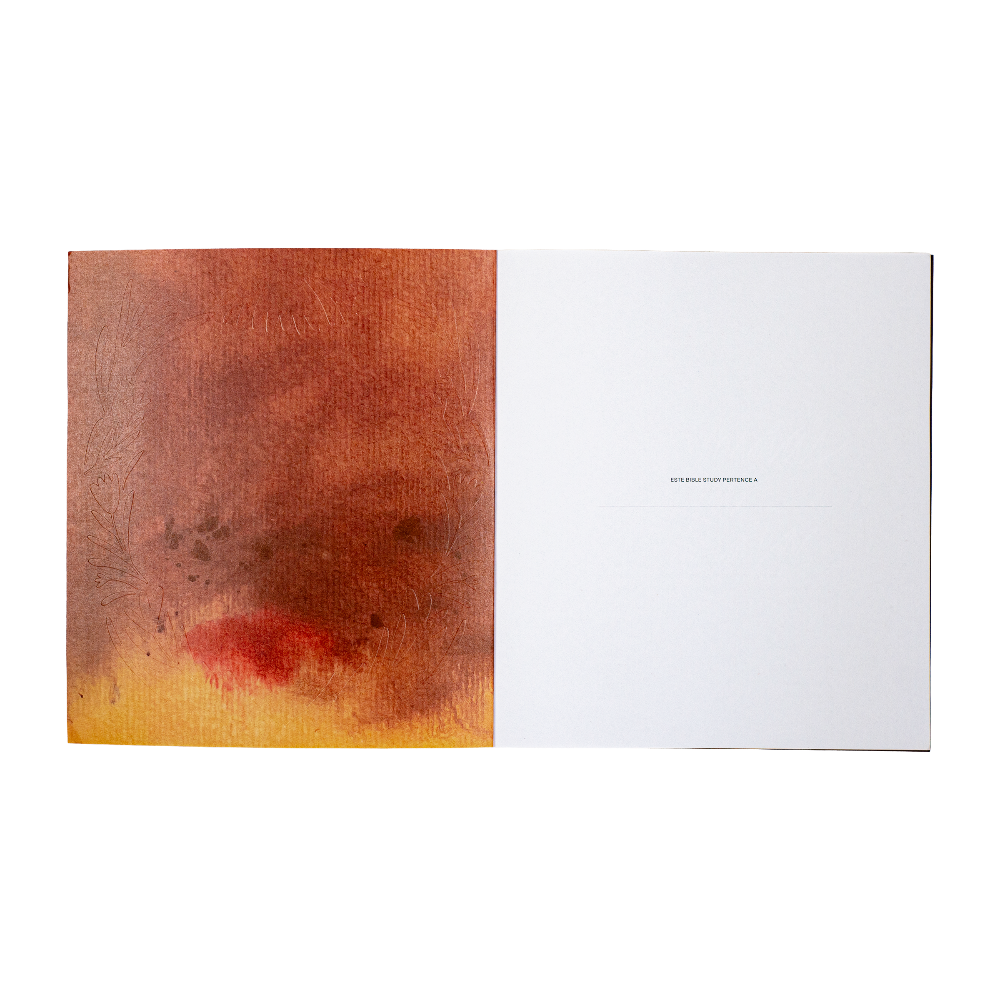 estudo bíblico em rute francine walsh