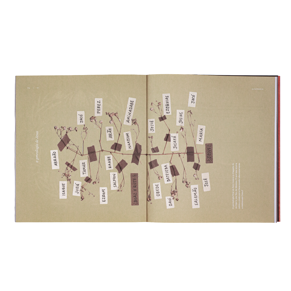 estudo bíblico em rute francine walsh