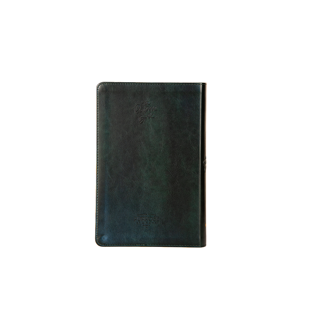Bíblia para culto The Purpose Book – capa Luz verde