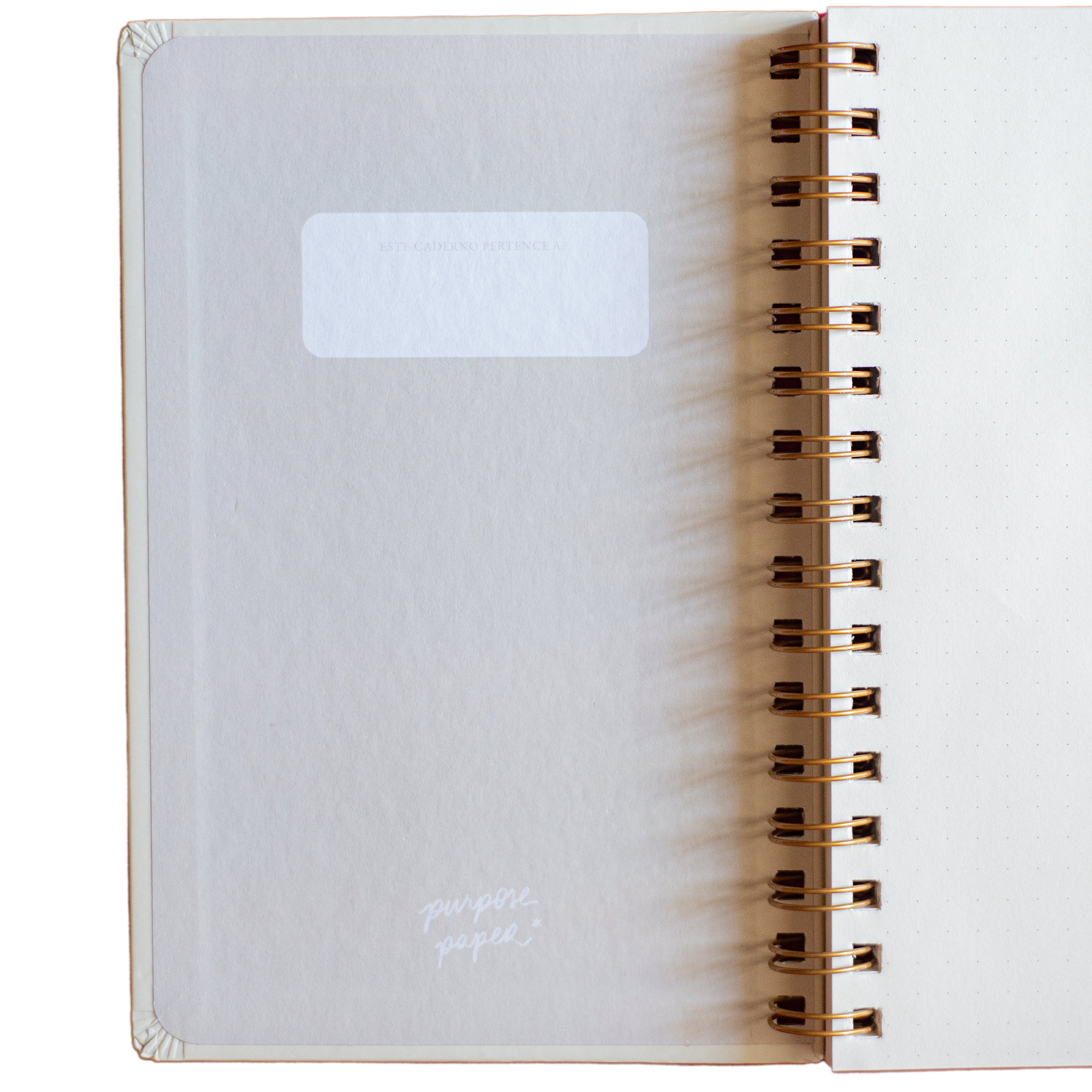 Caderno Frutos