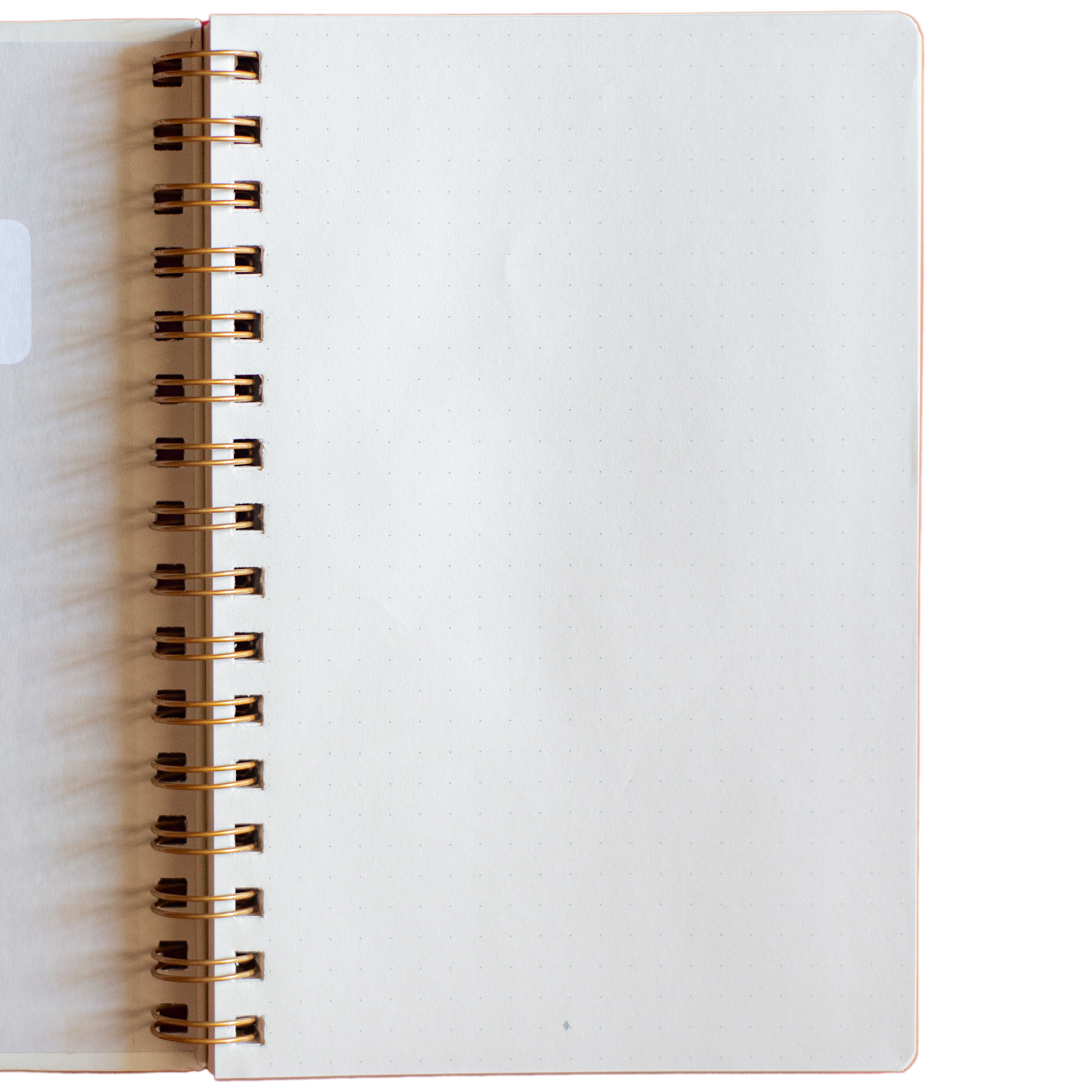 Caderno Frutos