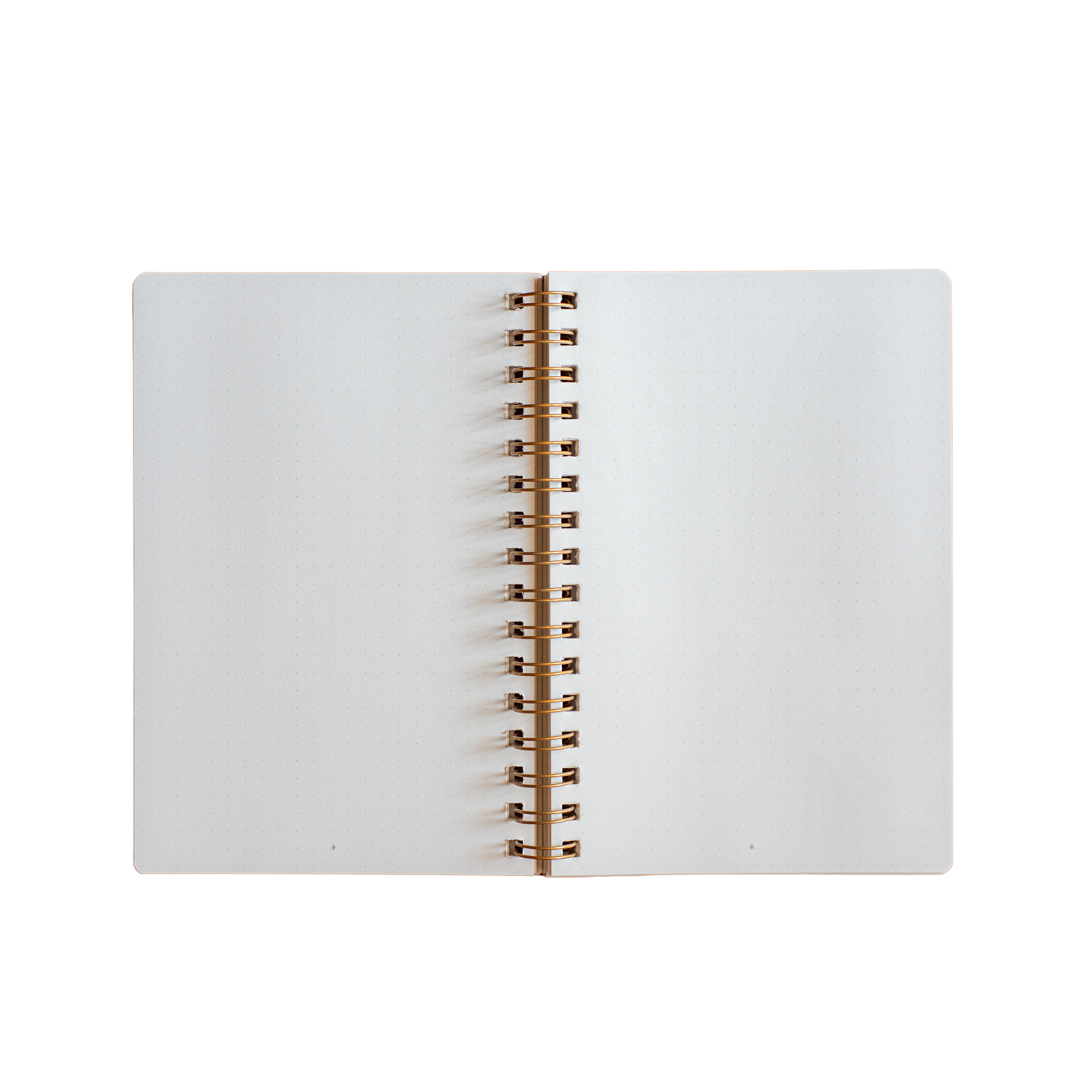 Caderno Frutos