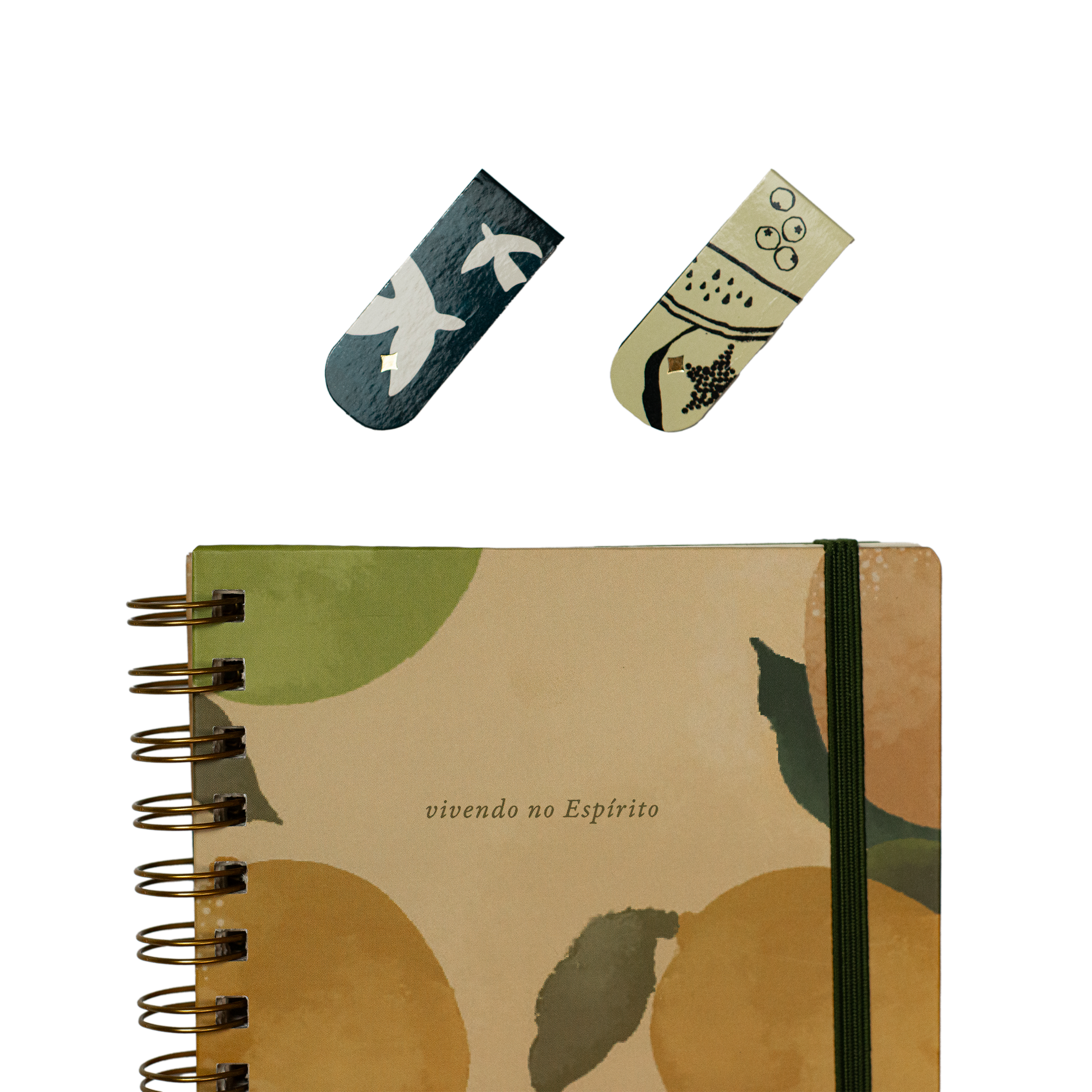 Caderno Limões