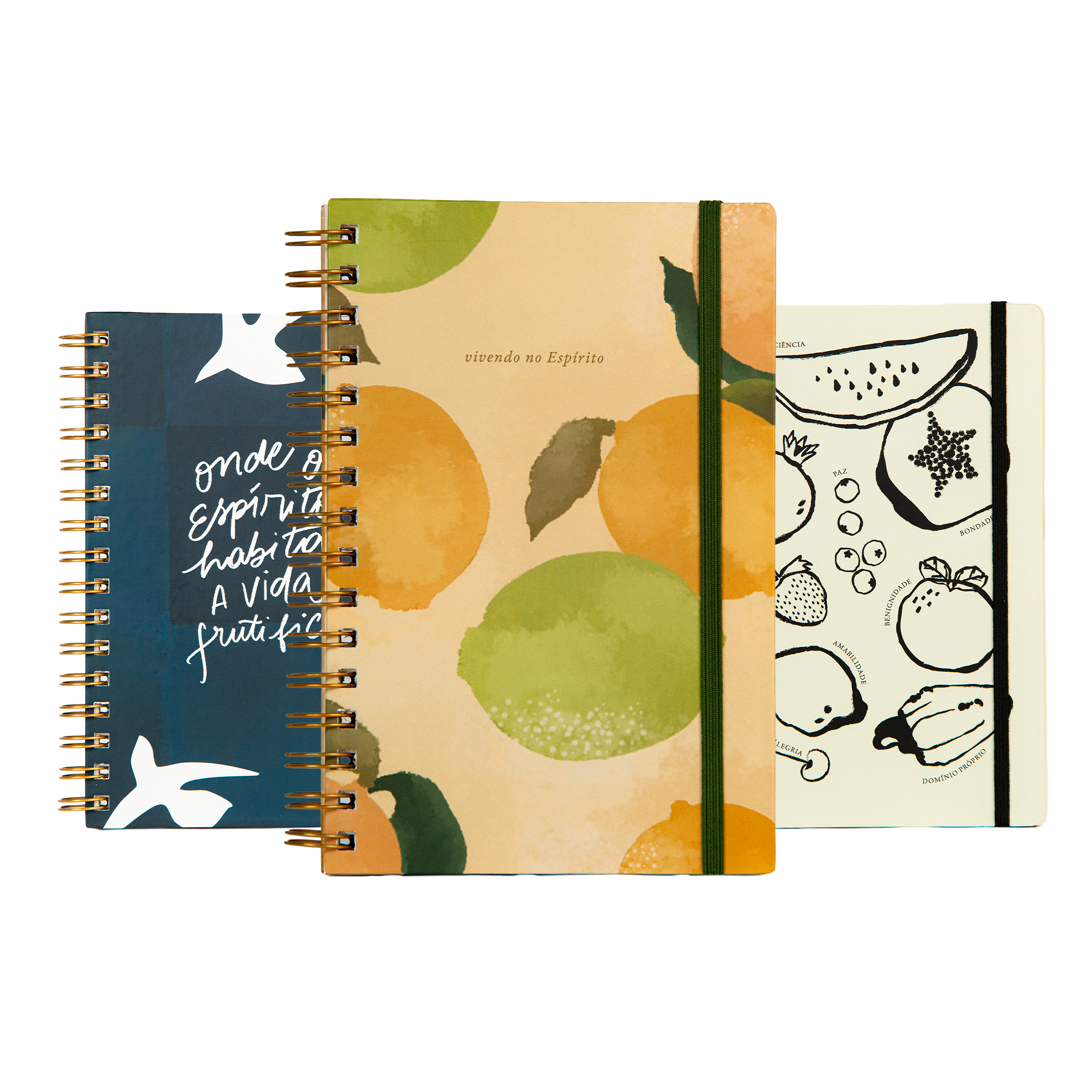 Caderno Limões