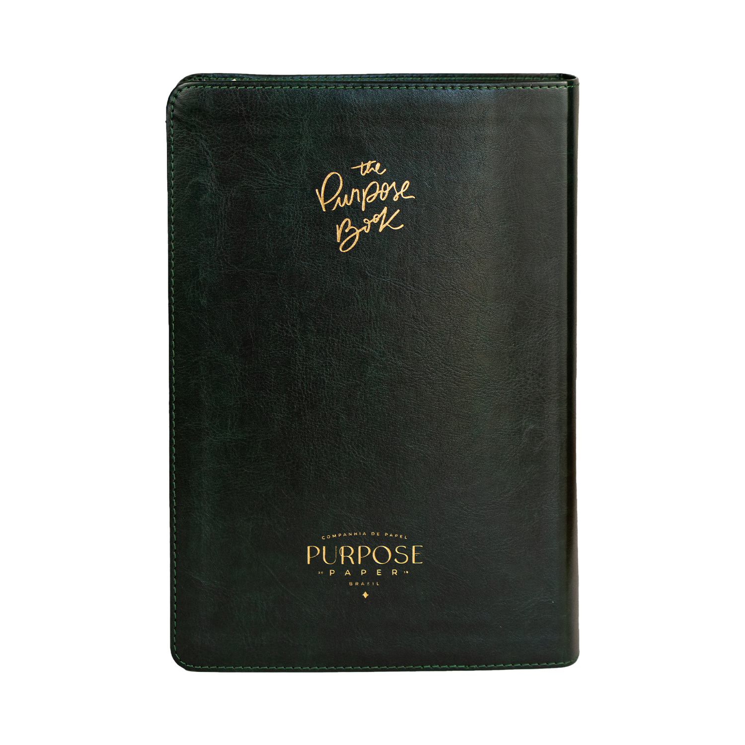 Bíblia de anotações The Purpose Book – capa Vitral couro verde