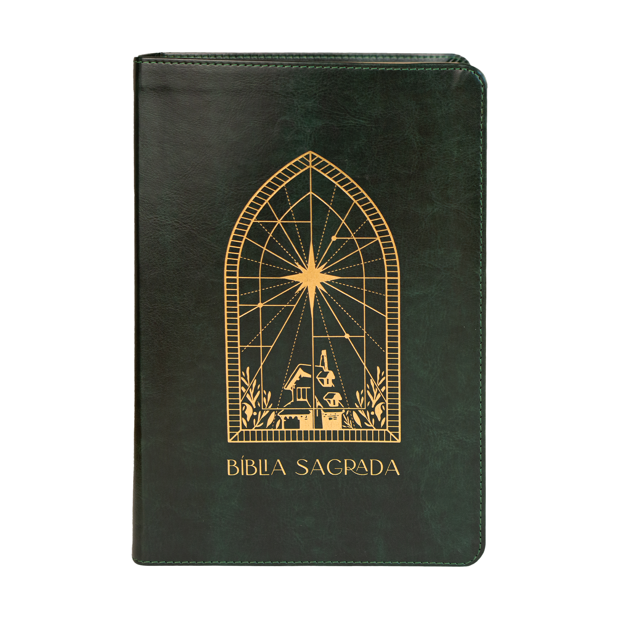 Bíblia de anotações The Purpose Book – capa Vitral couro verde