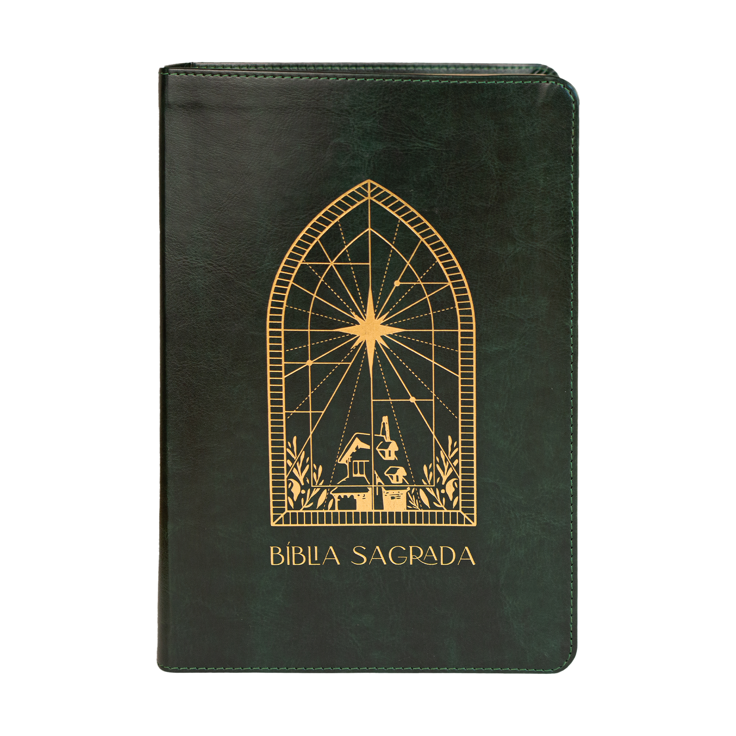 Bíblia de anotações The Purpose Book – capa Vitral couro verde