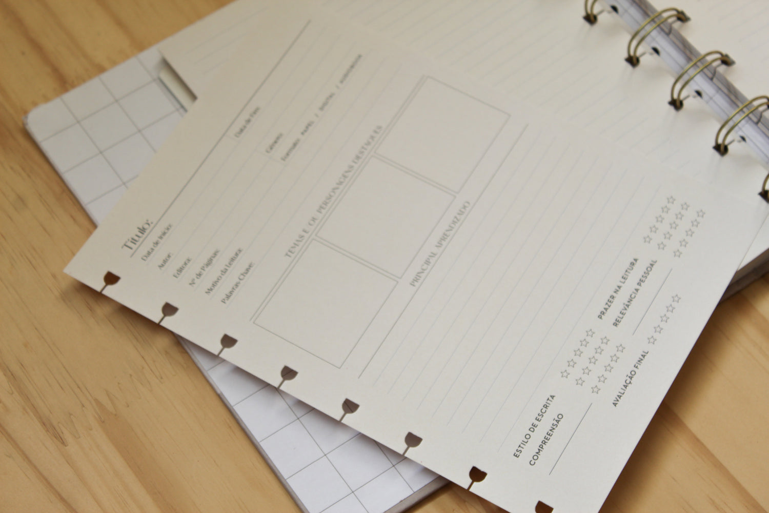 Planner de Leitura - Book Planner Leitura proposital